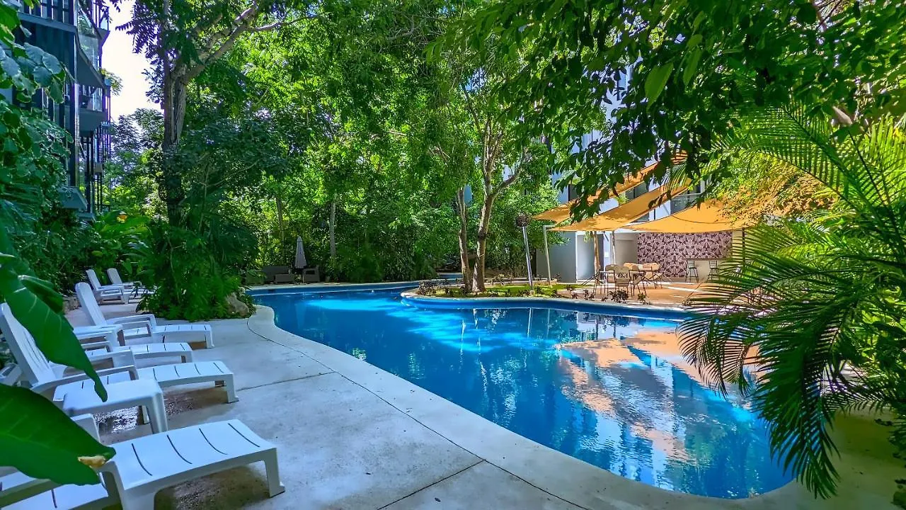 Riviera Home - New 2Br Condo W. Big Pool & Jacuzzi Playa del Carmen
